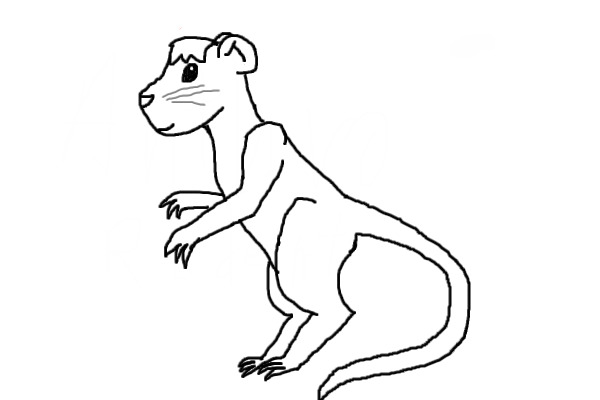 Make an Anthro Rodent!