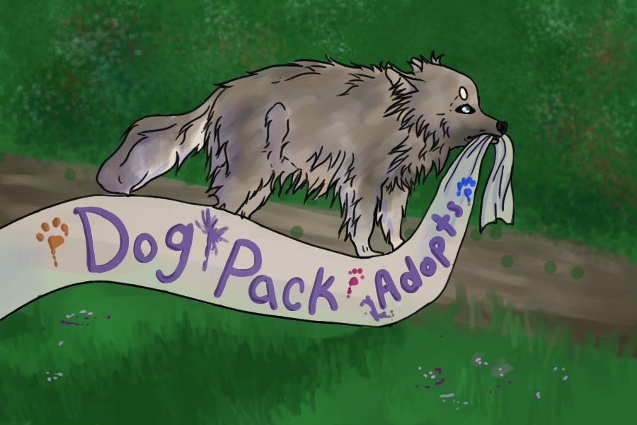 Dog pack Adopts Home|Open!|