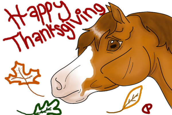 Happy (late) Thanksgiving!!!! :D