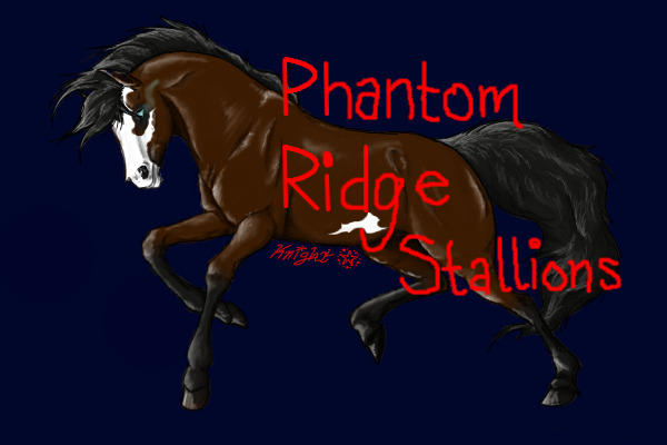 Phantom Ridge Stallions