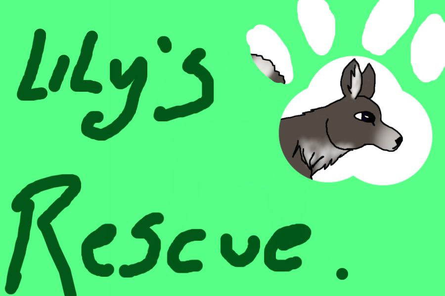 Unusual OC's for Adoption! | Lily's Rescue | 1 Pet Available