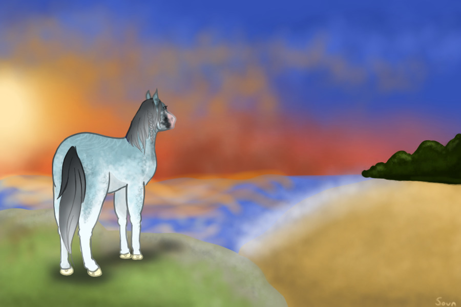 Watching the Sunset