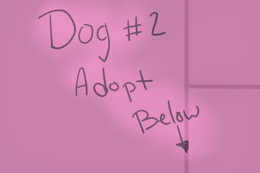 Dog Pack Adopts |Dog #2|