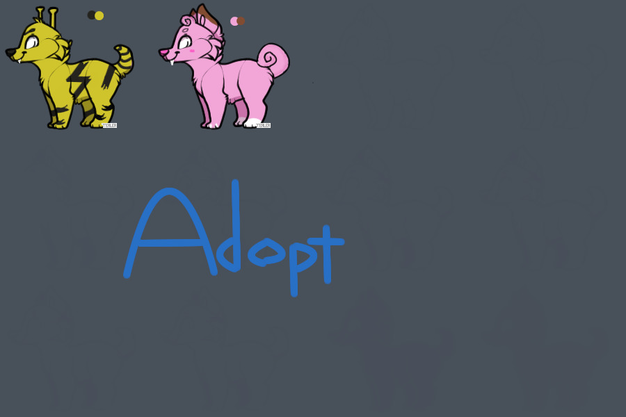 Pokemon adoptables
