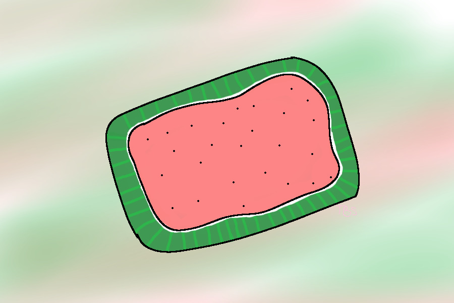 Watermelon Poptart :D