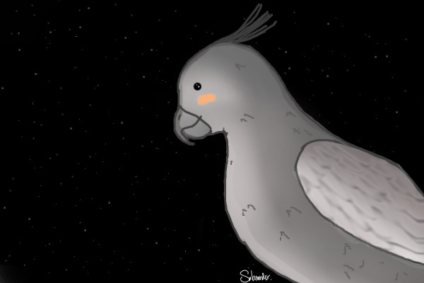 SPACE Avatar