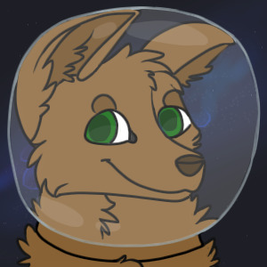 brown dog in space