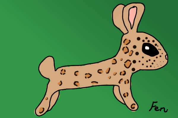 Spring rabbit litter #2: Leopard