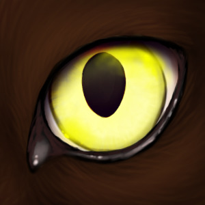 brown cat, yellow eye