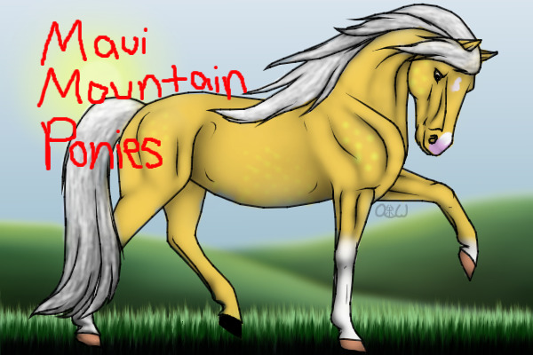Maui Mountain Pony Adoptables