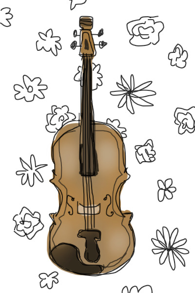 violin ✿