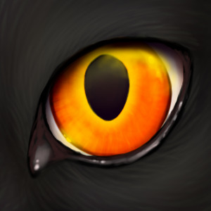 black cat, orange eye