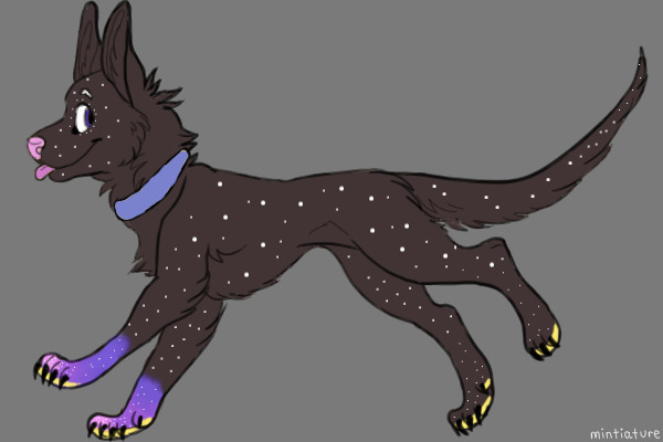 Space themed Canine adopt