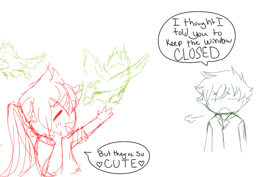 Darous Loves Pidgeys