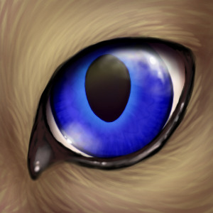 brown cat blue eye