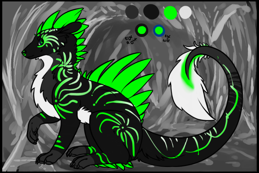 Kiwi Re-Adoption - Winner Posted!