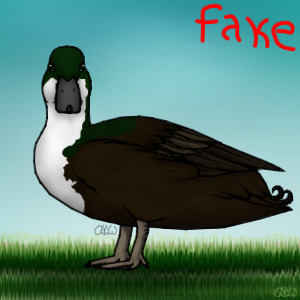 Entry 2- Business Ducks