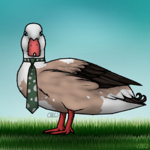 Business Duck #016