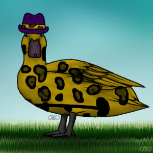 Duck #17