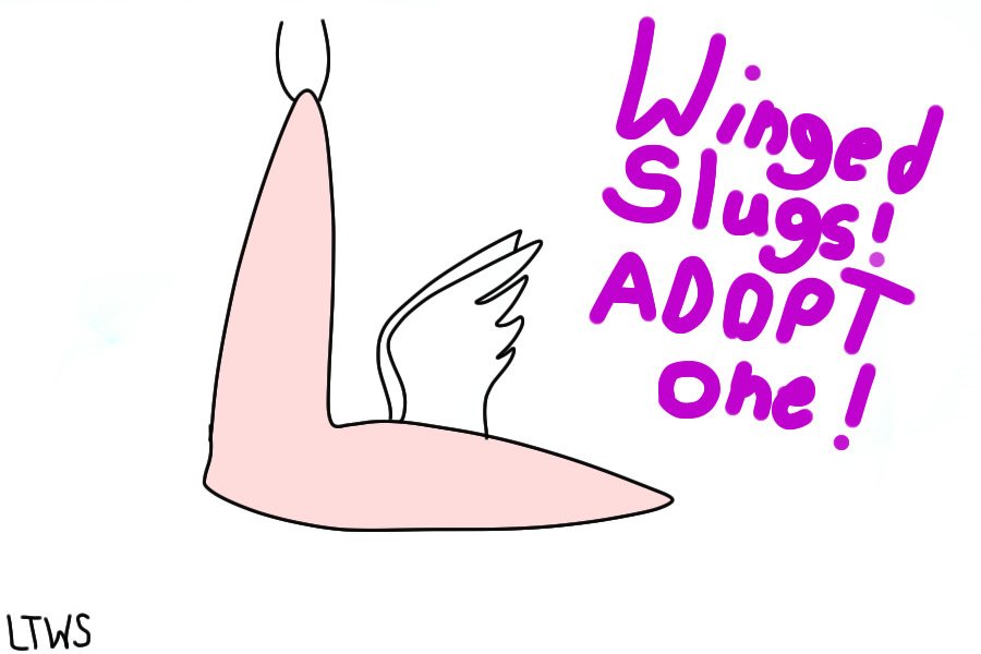 Winged Slugs!