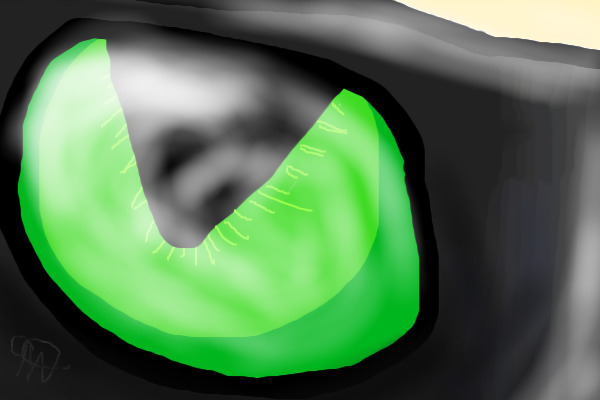 Chat Noir's Eye
