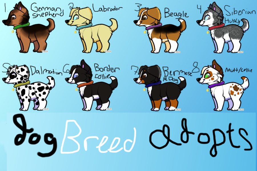 ❤ | Dog Breed Adoptables!