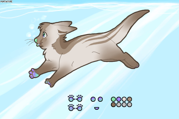 Skipper #3 - Caspian