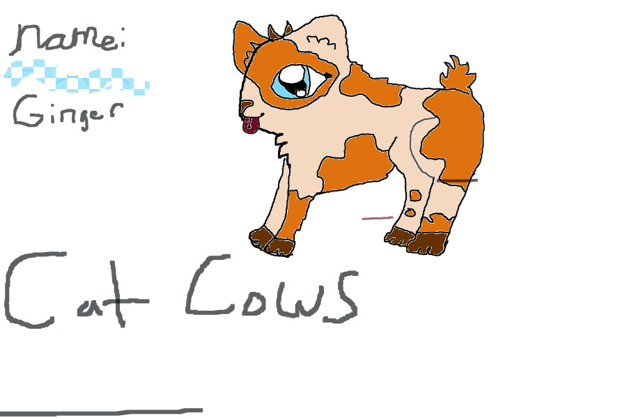 Cat cows