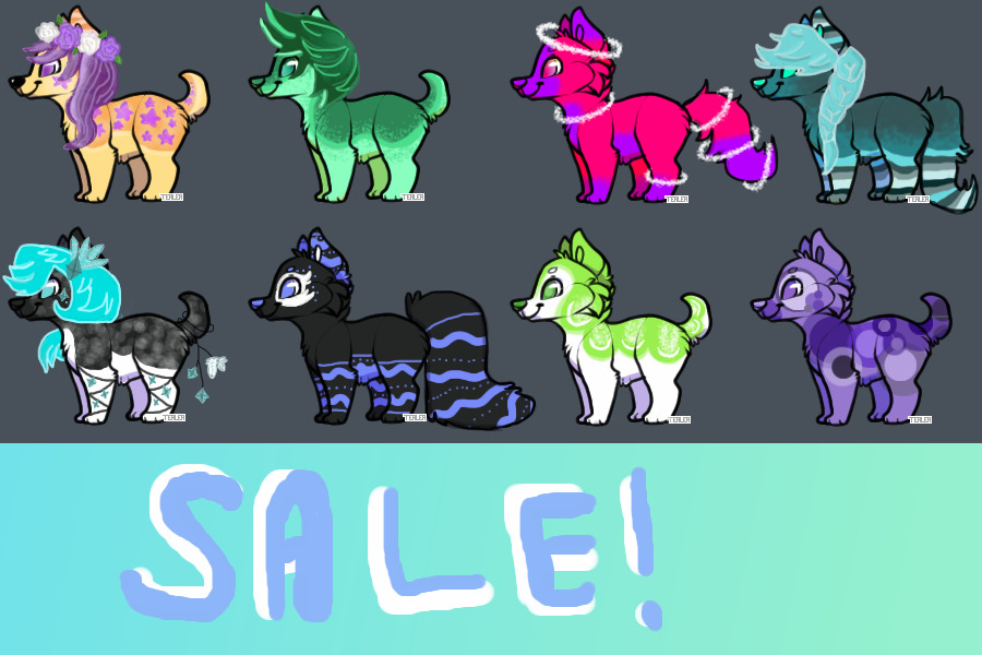 Dog Adopts For Sale!