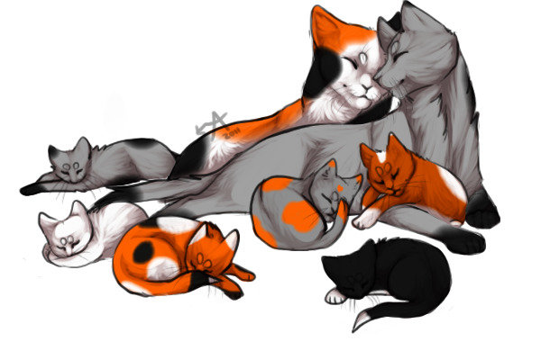 calico and silver cat family