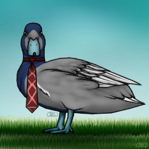 Business Duck #027