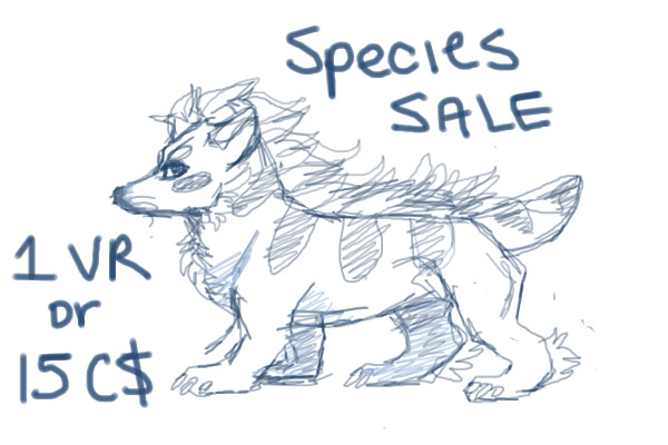 FENNEKITS||species sale