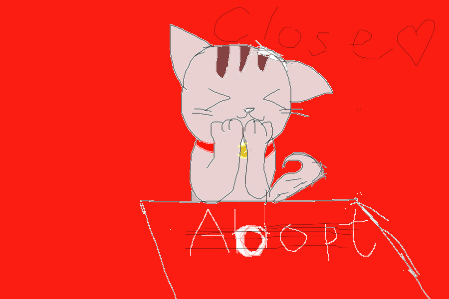 the kitten adoption(free)