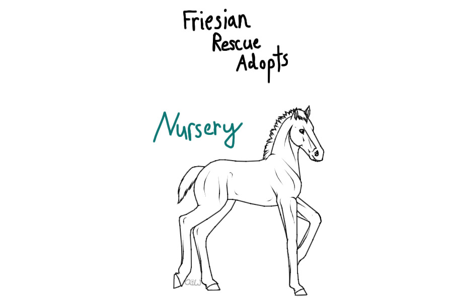 Friesian Rescue Adopts ~ Nursery