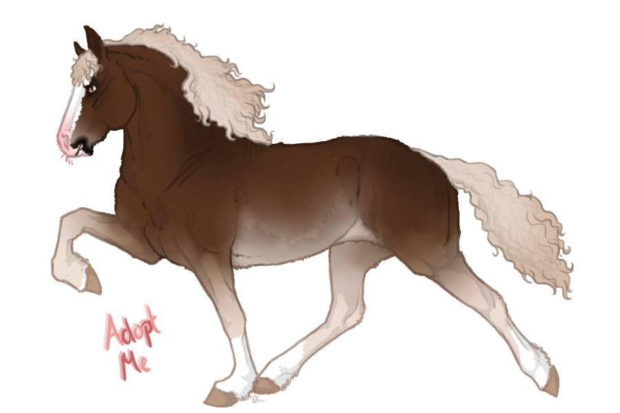 Bashmoor Curly Ponies ♥ #085 [Unowned]