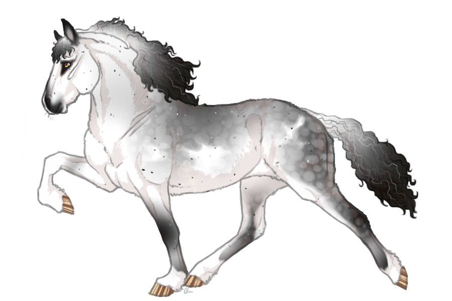 Bashmoor Curly Ponies ♥ #092 [husky.]