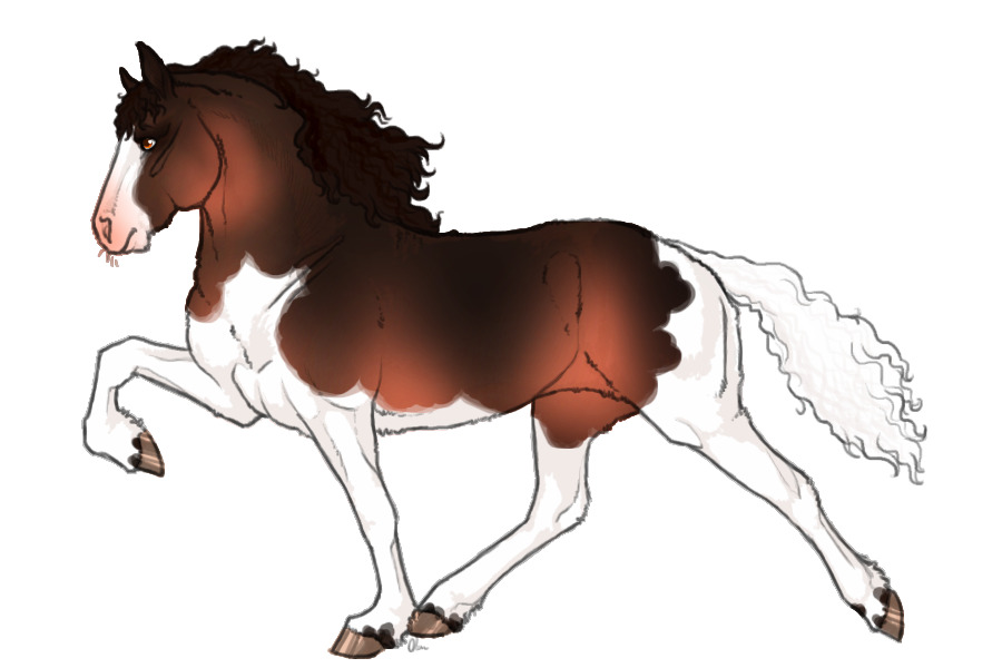 Bashmoor Curly Ponies ♥ #093 [iStarz & Everly]