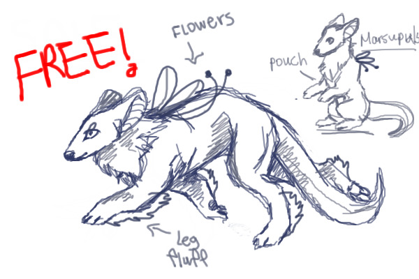 Marsupial species FREE || Unnamed