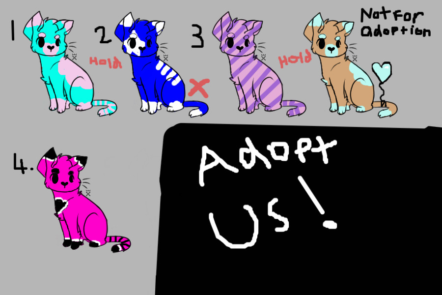 Adopt us!