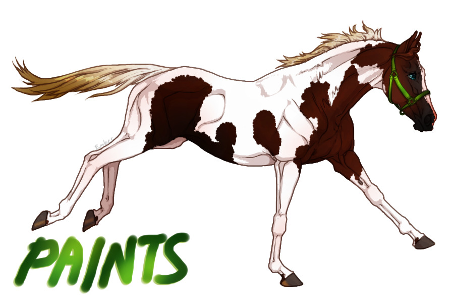 'paints [horse coats tutorial]`