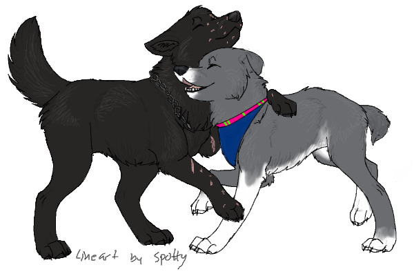 my two charris