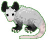 small opossum