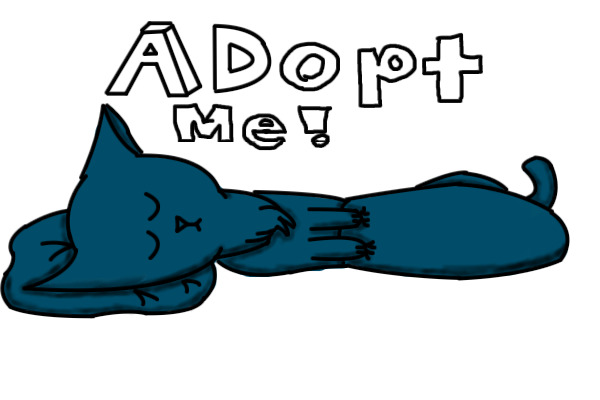 Adopt a Growing Kitten!