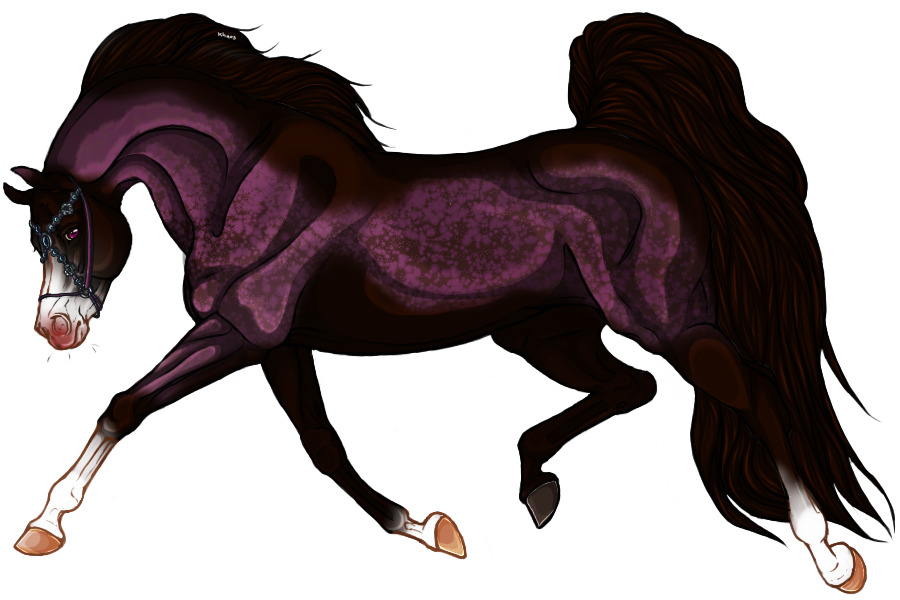 Neteru Shadow Walkers Artist Search