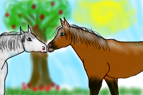 Horses