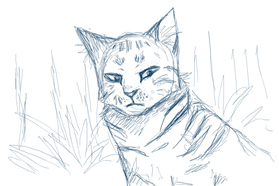 a very crude cat sketch