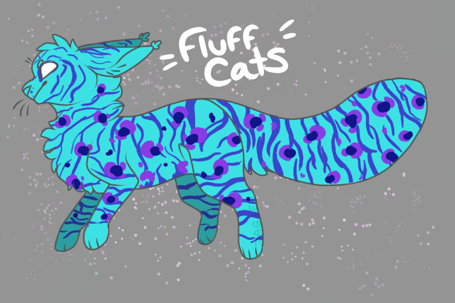 Fluff Cats - Looking for NEW OWNER!