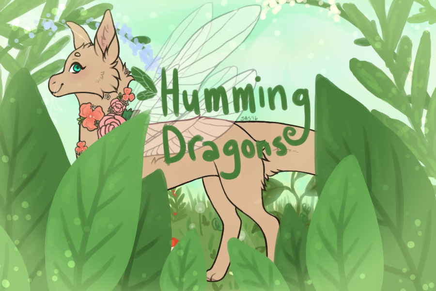 ✿ Humming Dragon Adopts ✿