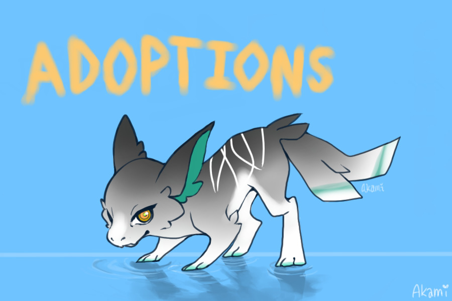 TAAO's BDC - Adoptions