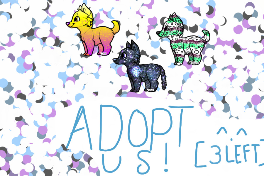 Cheap pup adopts!